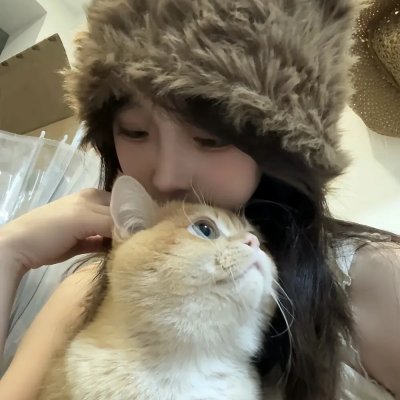 功能失常的猫